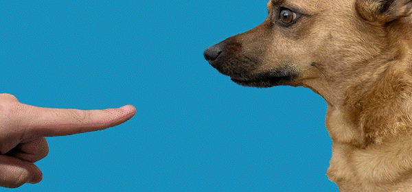 Four Second Forever Four Second Forever